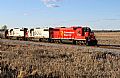 CP 4422