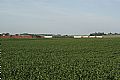 SOO 4425
